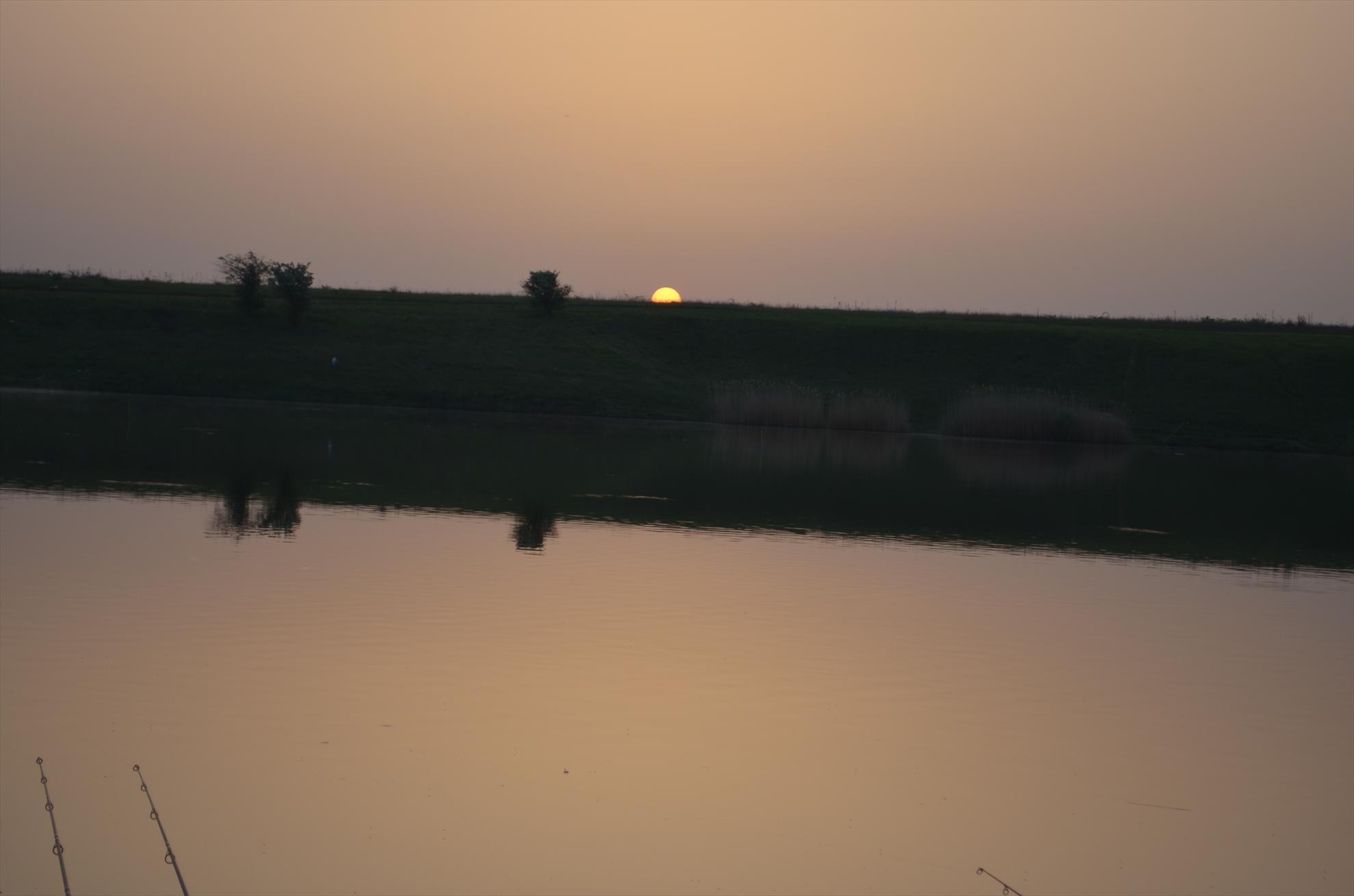 sisterea - dsc0516.JPG